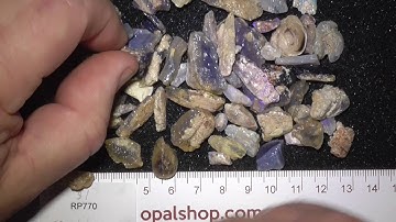 Opalised fossils from Lightning Ridge Australia RP770