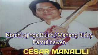 Naraniag nga Bulan// Manang Biday//  Pamulunawen Guitar Instrumental