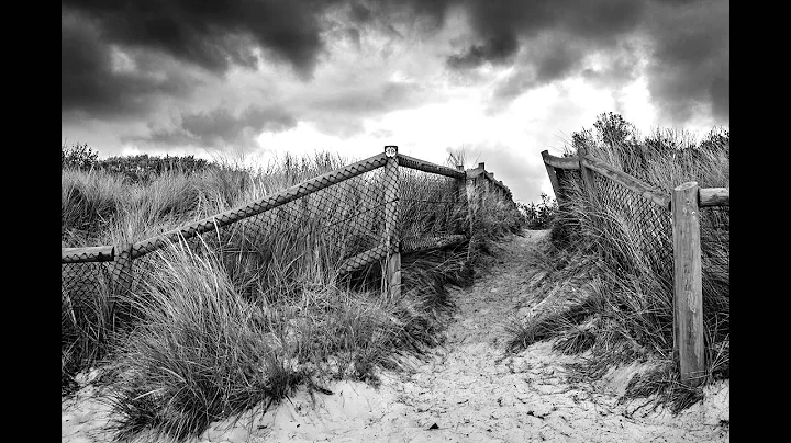 Black and White Landscapes by Christine Wilson Pho...