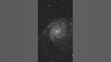 Supernova in the Pinwheel Galaxy (M101) #shorts