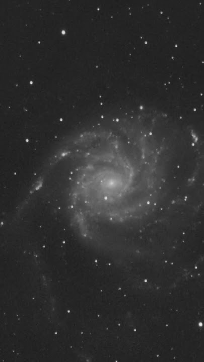 Supernova in the Pinwheel Galaxy (M101) #shorts