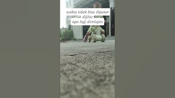 cis cis cisss #cover #remix #music #shorts #adinda