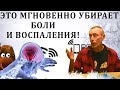 ЭТО МГНОВЕННО УБИРАЕТ БОЛЬ И ВОСПАЛЕНИЕ! Вай фай, wi fi, Тройничный нерв гирудотерапия, заземление,