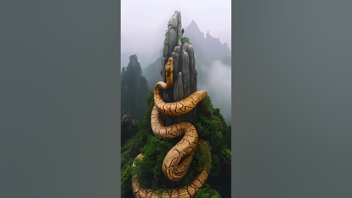 Are bhai 😳😳ye kon sa Saanp hai#shorts #anaconda #snake ##bigsnake #video #viral