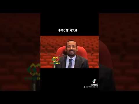 ጠቅላይ ሚኒስትር ዶክተር አብይ አህመድ ሲሳደብ የሚያሳይ ቪዲኦ