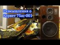 Размышления о Корвет 75ас-001