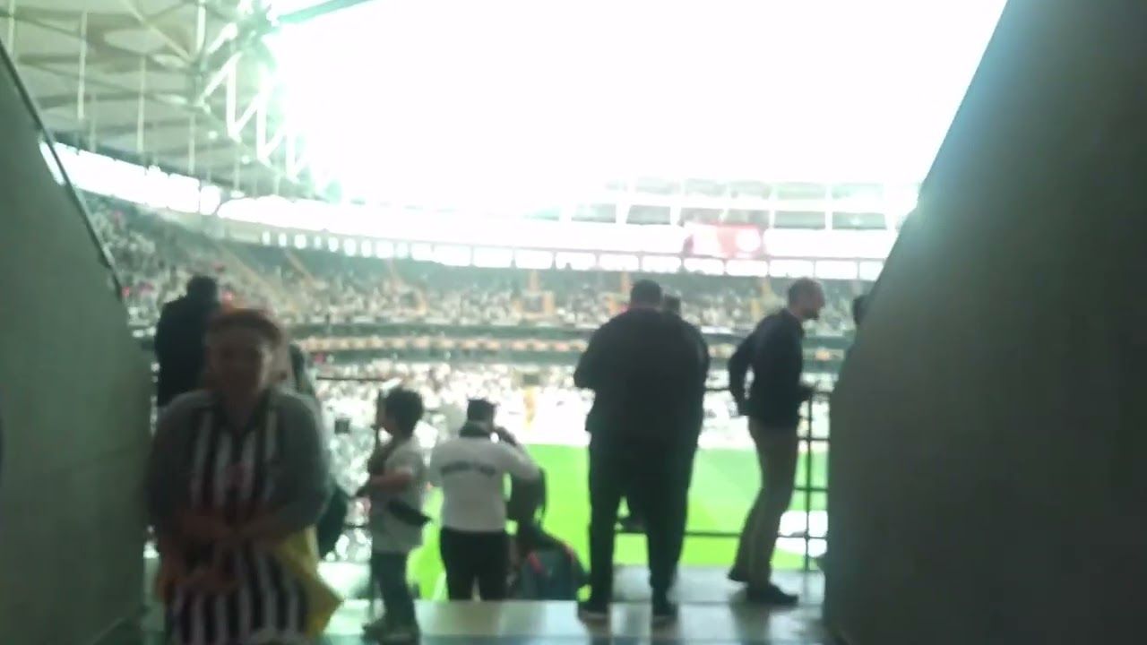 Beşiktaş Stada Giriş