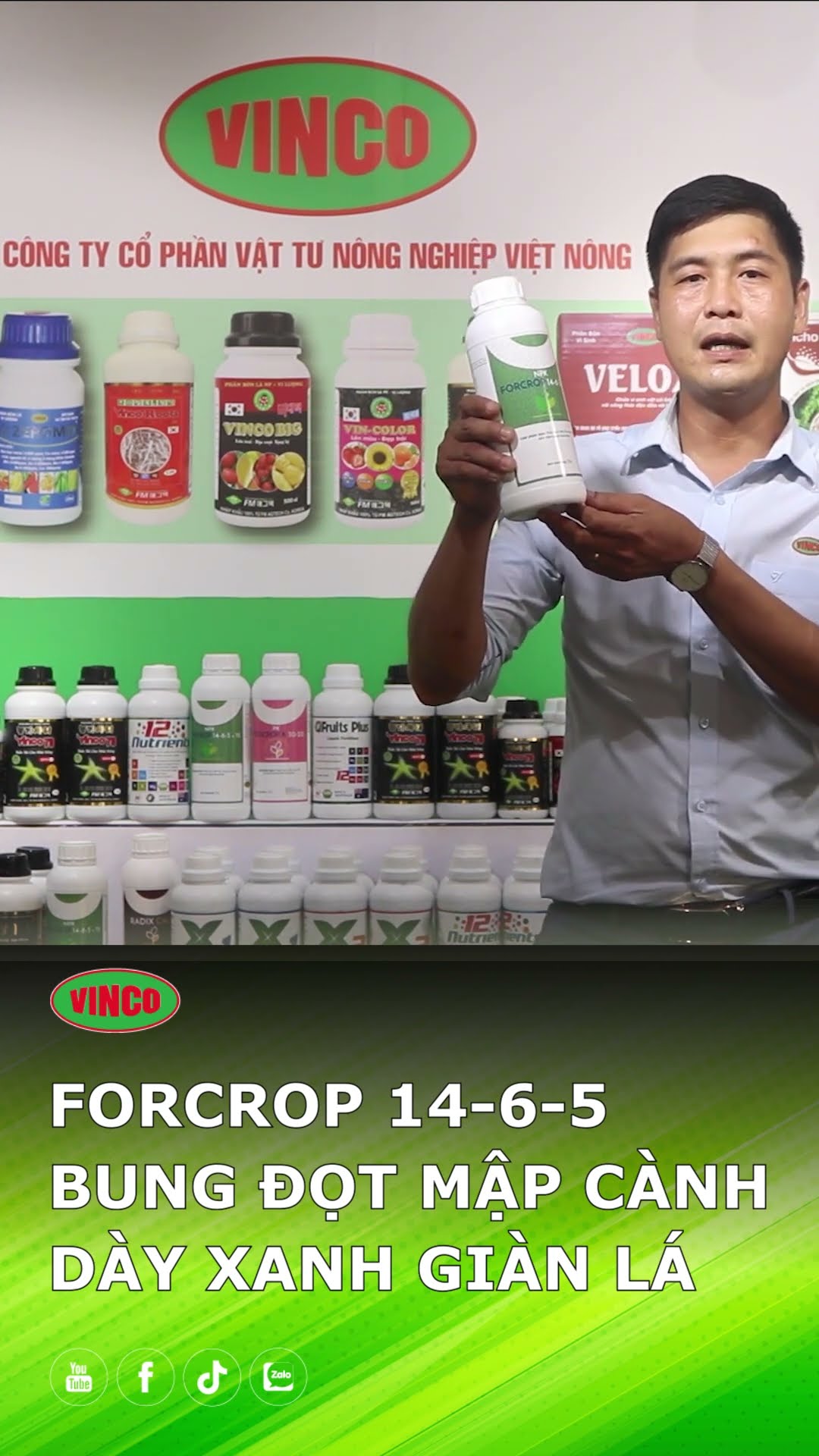Giới thiệu sản phẩm Forcrop 14-6-5 | Bung đọt mập cành - Dày xanh giàn lá