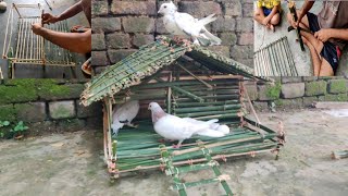 how to make pigeon house.kabootar ka ghar kaise banaye.kabootar ka ghar banane ka tareeka