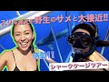 【スリル満点！！】ハワイでシャークケージツアー