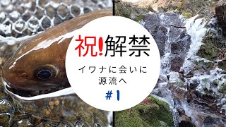 【渓流提灯餌釣り】渓流解禁日①_利根川水系の源流域で岩魚を狙う 【渓流提灯餌釣り】渓流解禁日①_利根川水系の源流域で岩魚を狙う