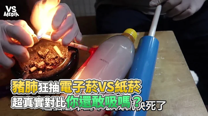 豬肺狂抽電子煙VS紙煙 超真實對比你還敢吸嗎？《VS MEDIA》 - 天天要聞