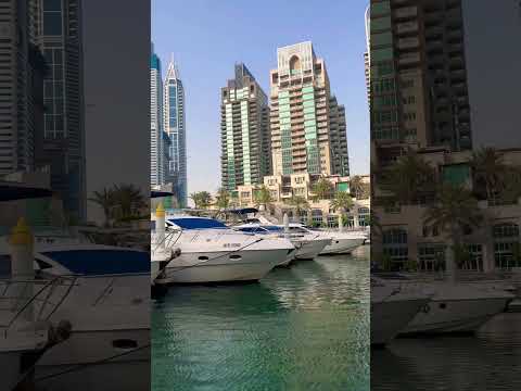 Dubai Marina🇦🇪🤍 #travel #dubai #youtubeshorts #youtube #video