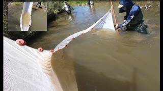 Seining for fish in the Little Colorado River