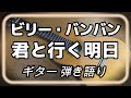 ビリー・バンバン 君の行く明日 ギター 弾き語り (cover)