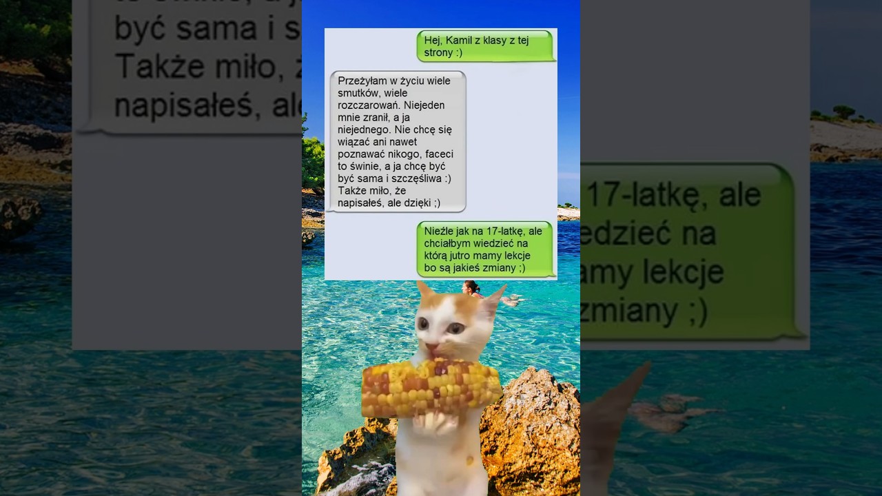 Kiedy tylko chciałeś zapytać o plan lekcji #shorts #memy #memes #śmieszne