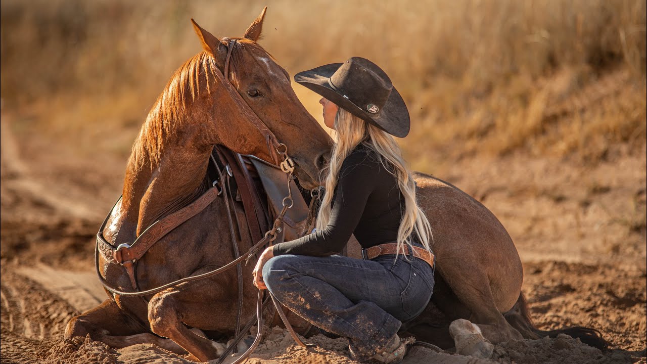 Lot 26 RT Metallic Prime offered by Paige Horses LLC Diamonds in the