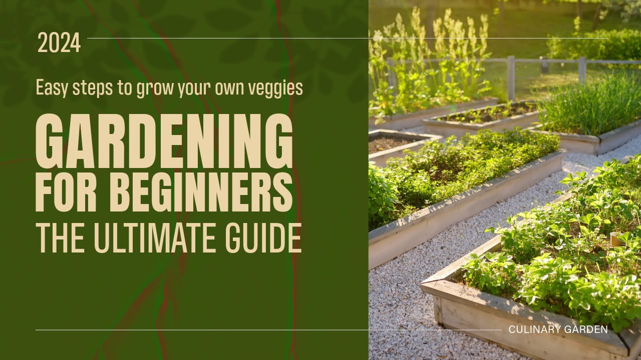 How to start a vegetable garden in 2024 - YouTube