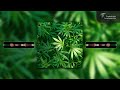 Dark Defamus - Weedmasters ( Official Music Visualizer)