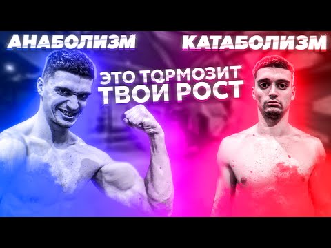 Видео: Является ли кетогенез анаболическим или катаболическим?