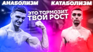 Анаболизм и Катаболизм. Механизмы основных физиологических процессов.