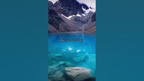 واتس اب قران كريم القارئ ياسر الدوسري (سوره الممتحنة)
