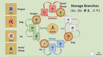 [Bazi Basic 14] Three Categories of Earthly Branches (Part 3. Storage Branches) 진술축미(辰戌丑未) 고지(庫支)