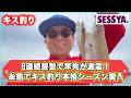 【キス釣り】6連続良型で竿先が激震！糸島でキス釣り本格シーズン突入！