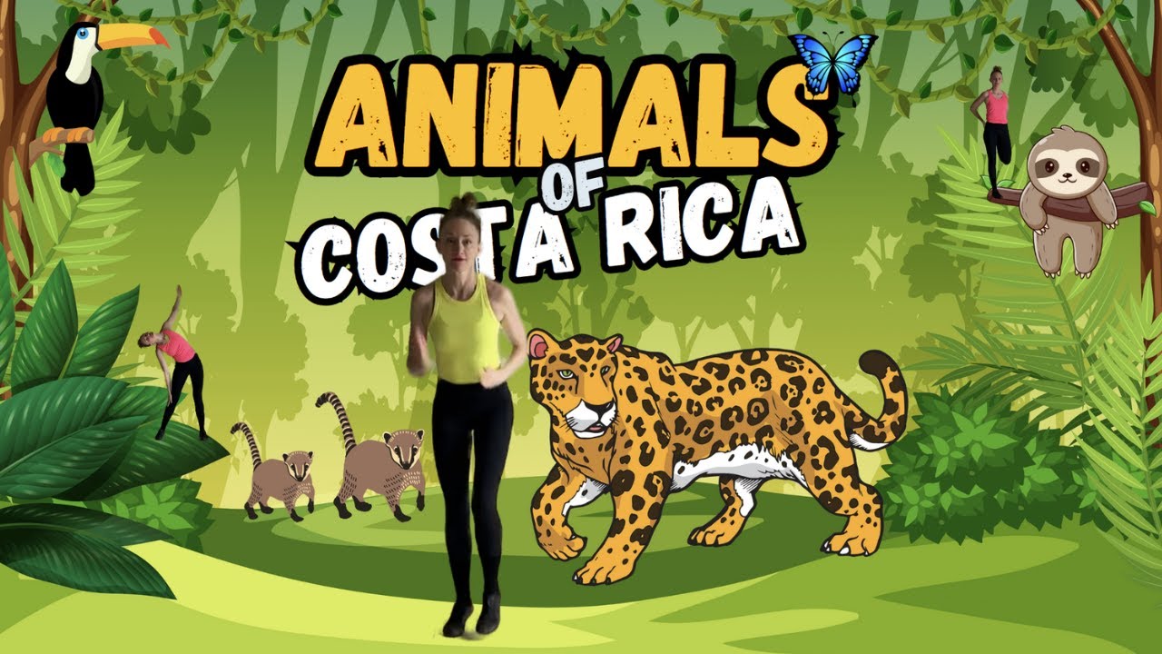 Animals of Costa Rica | This or That | Kids Workout - YouTube