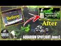 Aquarium coop easy green before  after