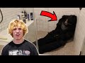 Scaring Best Friend With A Gorilla!! (Prank)