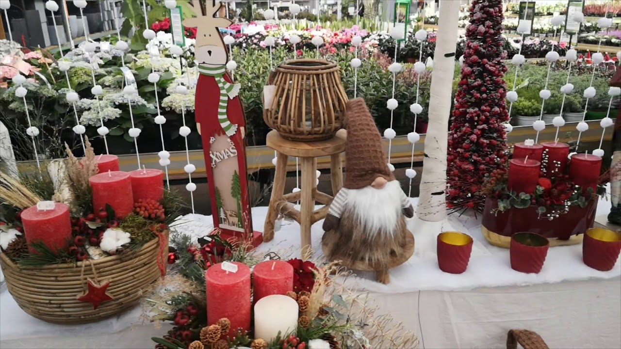 Pflanzen Laukart Adventsausstellung 2020