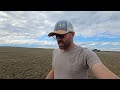 South - Grass Update