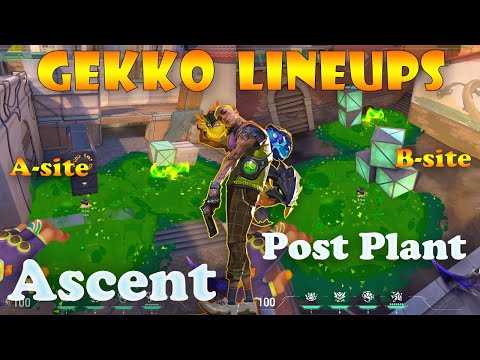 Geeko Ascent AHeaven to AWine Moshpit