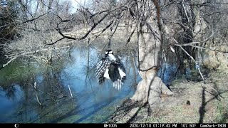 Trail Cam Videos Vol  4 by Larry Peterson 82,176 views 3 years ago 27 minutes