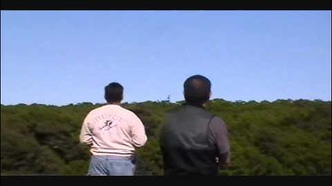 THE NEW TREX 600E PRO..... CAPTAIN CHRIS