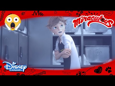 Mucize: Uğur Böceği ile Kara Kedi I Kara Kedi Buz Odasında Hapsoldu! I Disney Channel Türkiye