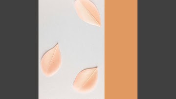 Phenomenal Moods for Relax and Lounge