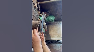 Tôi làm con dao năm đi rừng bằng thép trục tàu thủy sắc bén như nước chặt sắt như thái đậu phụng vậy