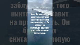 Сура Аль Араф 7:186 #аллах #сура #аят #душа #истина #ислам