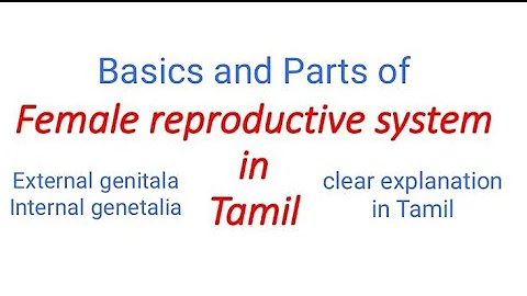 Female Reproductive System in Tamil/Parts of female reproductive system/ Uterus in Tamil