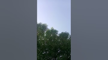 سورة الرعد....من روائع التلاوات النادره للشيخ عبد الباسط