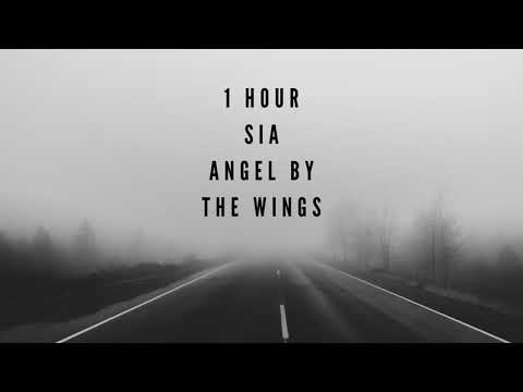 Sia - Angel By The Wings (1 Hour)