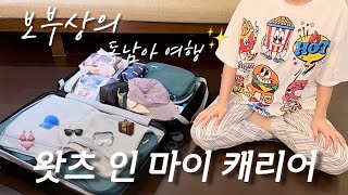 왓츠인마이캐리어 🧳 보부상의 동남아 여행, 휴양지 짐싸기 함께해요 🙋🏻‍♀️✨ 여행 필수템, 꿀템 소개 🥽👙🩴