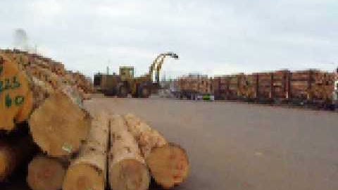 caterpillar 988f unloading a logging truck