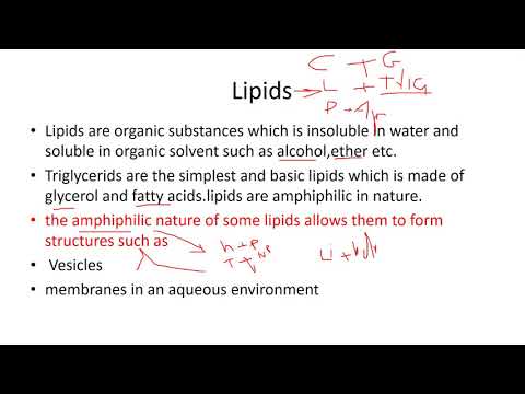 Lipids=Biochemistry/Part-1/M Rizwan