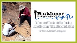 Echoes of the Past: Exploring Fossils along the Missouri River
