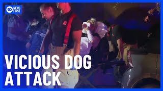Sydney Woman In Serious Condition After Being Mauled By Her Dog | 10 News First