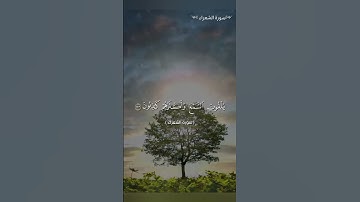 تلاوة سورة الشعراء #قرآن #qouran_karim #قران_كريم #القرآن_الكريم  #coran #دعاء #القرآن #إبتسم