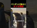 ペンギンに触れてはいけない理由